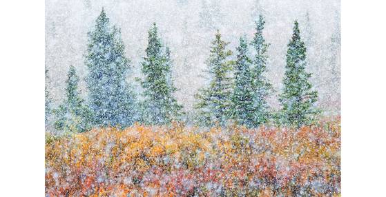 소리와 시각(SOUND AND VISION) Alessandro Carboni, Italy