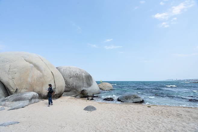 강릉 사천 바닷가, 무심코 지나치기 쉬운 커다란 바위는 '이무기 전설'을 품은 '교문암(교암)'이다. '이무기가 떠나면서 바위를 깨고 갔다'는 이야기처럼 바위는 두 동강 난 듯 금이 가 있다. / 임화승 영상미디어 기자