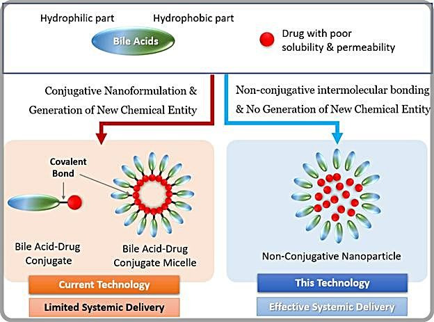 [대전=뉴시스] KBSI 공동연구팀의 연구 결과 모식도. 왼쪽은 기존 기술이고 오른쪽의 담즙산 순환회로 모사 나노전달체 기술은 새로운 결합약이 생성되지 않아 부작용이 없으며 효율적인 약물전달이 가능해 생체이용률을 대폭 높일 수 있다. *재판매 및 DB 금지