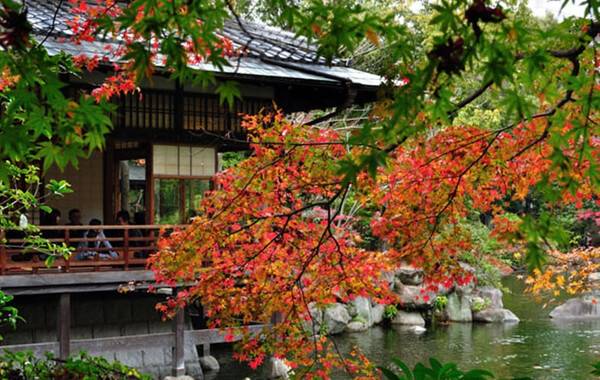 온라인 커뮤니티