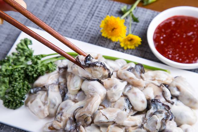 A형 간염의 주된 감염 경로는 생굴이나 조개인 것으로 나타났다. [사진=클립아트코리아]