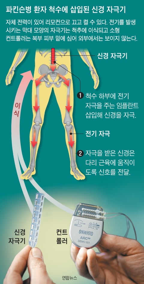 그래픽=양인성