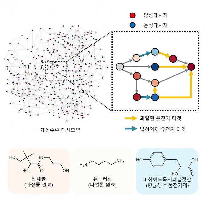 신규 개발된 iBridge를 활용한 유용한 화합물의 생산예시 .KAIST 제공