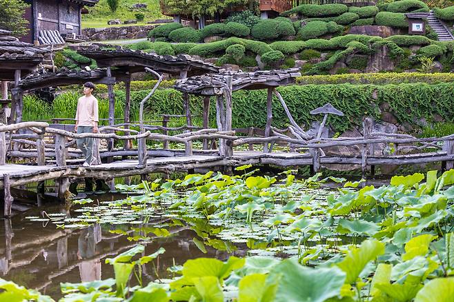지리산 웅석봉 아래 '수선사'는 연꽃 연못과 연못 위 삐걱거리는 목책로가 명물이다. / 이신영 영상미디어 기자