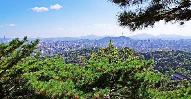 남마루 쉼터에서 본 풍경