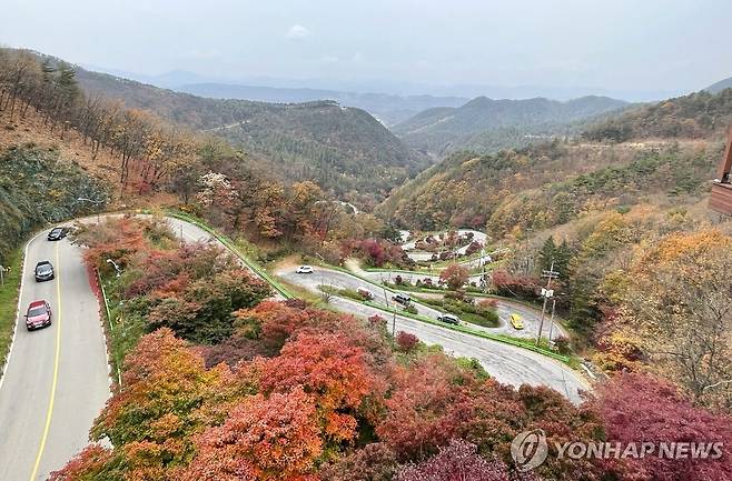 속리산 말티재의 단풍 [보은군 제공. 재판매 및 DB금지]