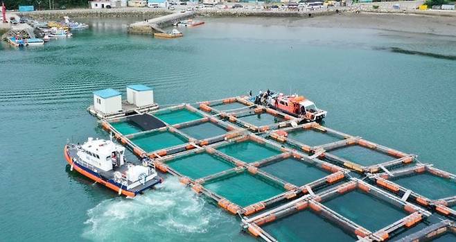 이 양식장 아래서 발견 - 28일 오후 경찰 등이 전남 완도군 신지면 송곡선착장에서 80m 떨어진 수중 가두리 양식장 부근을 수색하고 있다. 이날 이 양식장 아래 수심 10m 부근에서 실종된 조유나(10)양 가족의 차량으로 추정되는 아우디 승용차가 발견됐다. 조양 가족은 지난달 30일 오후 11시쯤 완도군 신지도 명사십리해수욕장 인근 펜션에서 차를 타고 어디론가 가는 모습이 마지막으로 목격됐다. /연합뉴스