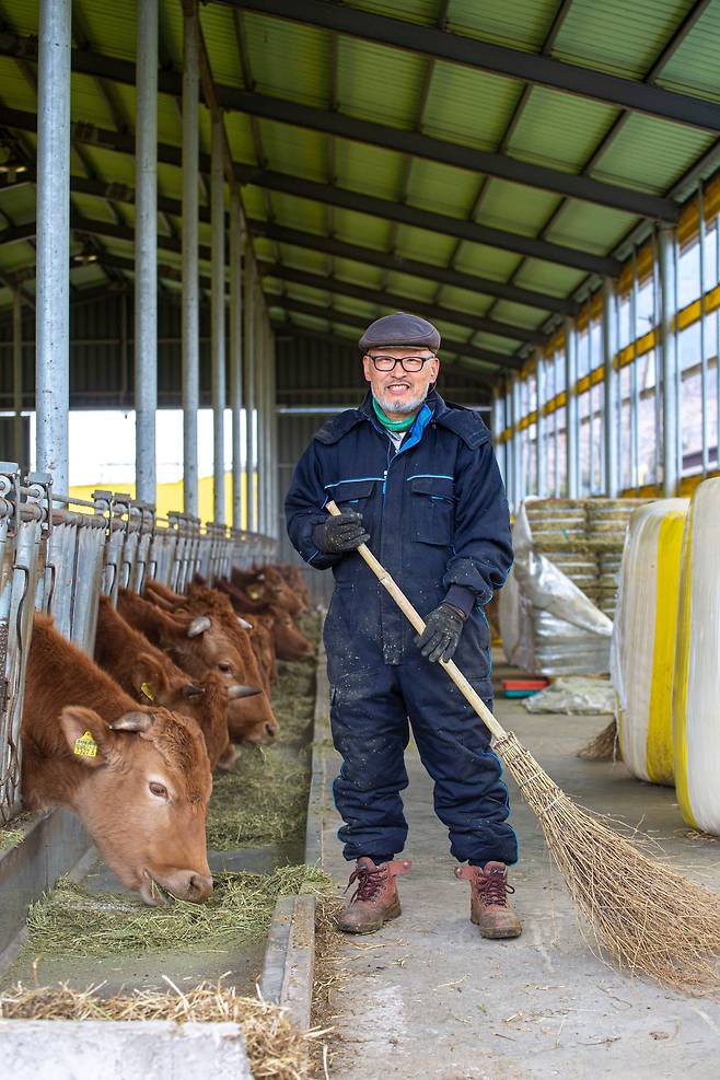 '풀로만목장' 조영현 대표는 소에게 풀을 먹이느라 하루 수천 번 빗자루질을 한다. 조 대표는 "왼손 엄지와 검지 사이에 굳은살이 박였다"며 웃었다./이신영 영상미디어 기자