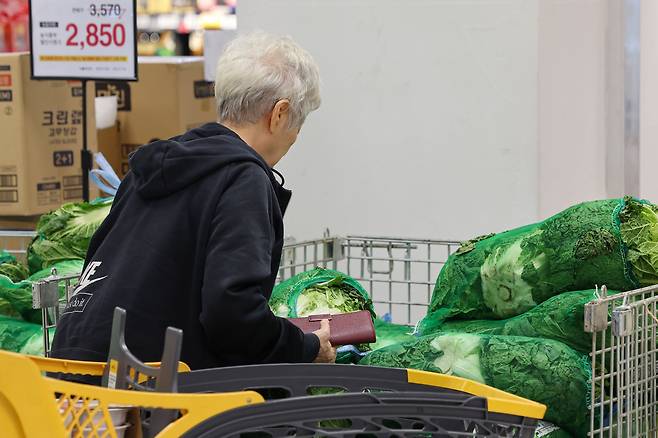 9일 오후 서울 시내 한 이마트를 찾은 시민이 배추를 고르고 있다. /연합뉴스
