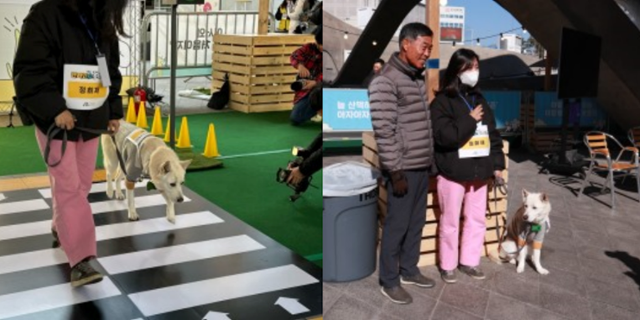 희재 씨와 이든이는 모든 코스를 성공적으로 통과했다.