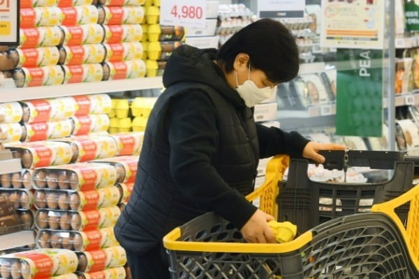 사진은 서울 성수동 이마트에서 소비자들이 계란을 고르고 있는 모습.  사진=강은구 한국경제신문 기자 egkang@hankyung.com