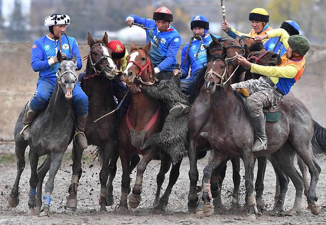 11월 10일 키르기스스탄 비슈케크에서 중앙아시아 전통 스포츠인 콕보루에 출전한 기수들이 울락이라고 부르는 머리없는  염소의 사체를 차지하기위해 경쟁하고 있다./AFP 연합뉴스