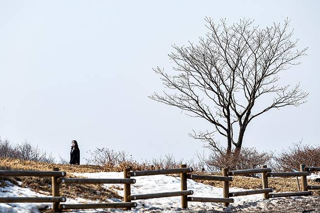 해발 1330m 만항재는 드라이브 하기에도 산책을 즐기기에도 좋다. /김종연 영상미디어 기자