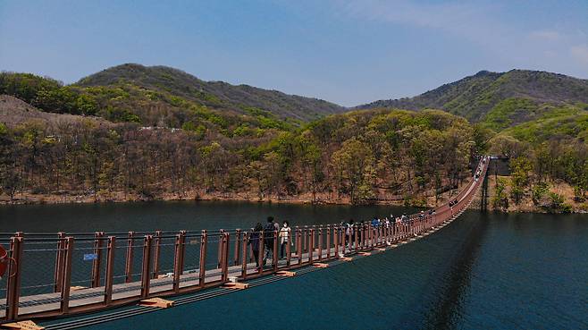 파주 대표 여행지로 떠오른 마장호수 출렁다리. 호수를 가로지르는 아찔한 다리를 건너거나 호수 따라 이어지는 3.3㎞ 둘레길을 걸을 수 있다. /이한솔 영상미디어 기자