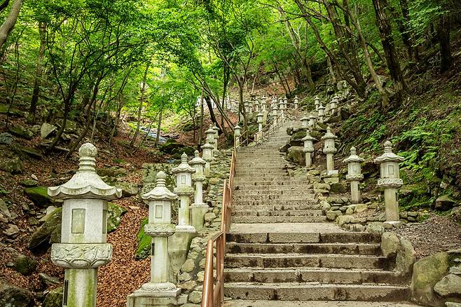 '관봉석조여래좌상'을 만나러 가는 길은 마치 수행하는 과정과 같다. 오르고 또 오르면 못 오를 리 없지만, 끊임없이 이어지는 계단 앞에선 갈등이 인다. / 장은주 영상미디어 객원기자