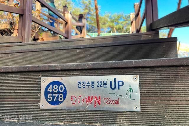 소금산 탐방로는 맨땅을 밟을 일이 없을 정도로 잘 정비돼 있지만 출렁다리까지는 578계단을 올라야 한다.