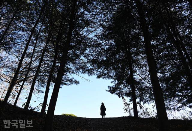 오크밸리 리조트를 감싸고 있는 다둔길 2코스 초입의 언덕 풍경.
