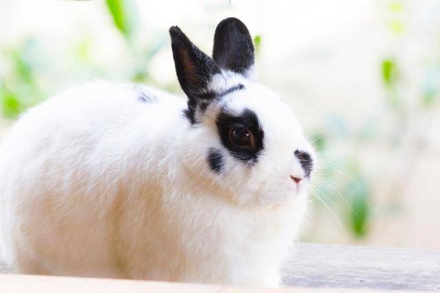 게티이미지뱅크