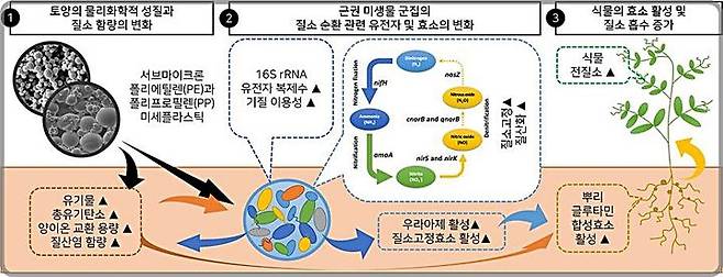 [대전=뉴시스] 미세플라스틱 노출에 따른 질소 순환 모식도.(사진=KIT 제공) *재판매 및 DB 금지