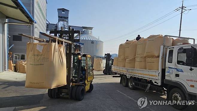 공공비축 건조벼 수매 한창 ※기사와 직접적인 관계가 없습니다. [연합뉴스 자료 사진]