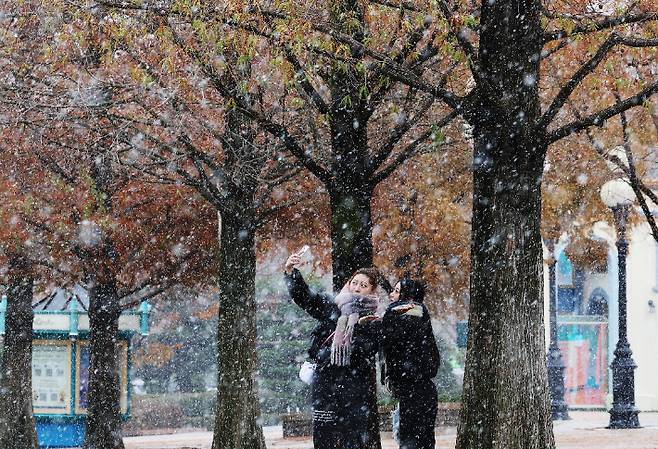 첫눈 내리는 에버랜드. 연합뉴스