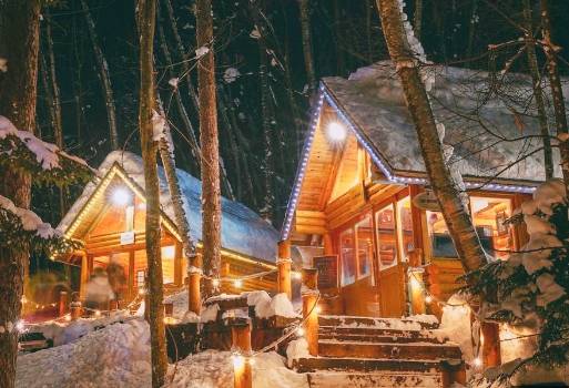 온라인 커뮤니티