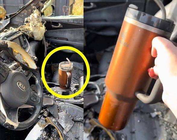 틱톡 이용자 다니엘은 최근 자신의 차가 화재로 불탄 이후 차 안에 있던 스탠리 텀블러만 유일하게 생존했다는 영상을 올려 화제가 됐다. 뉴시스(틱톡 캡처)