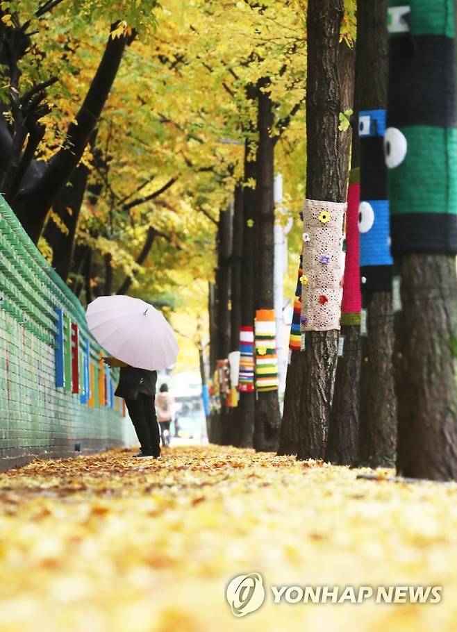 겨울옷 입은 가로수 (광명=연합뉴스) 홍기원 기자 = 겨울을 재촉하는 비가 내린 8일 오전 경기도 광명시의 한 거리에서 우산을 쓴 시민이 뜨개옷을 입은 가로수길을 걷고 있다. 2021.11.8 xanadu@yna.co.kr