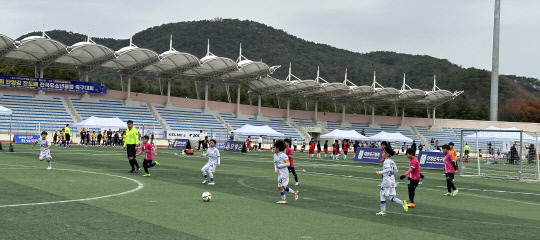 지난해 열린 전국유소년클럽축구대회. 사진=단양군 제공.