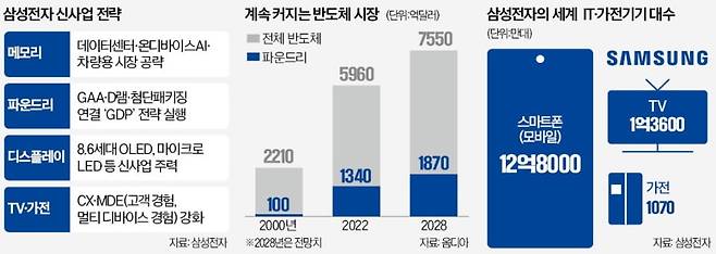 삼성전자의 차세대 반도체 전략