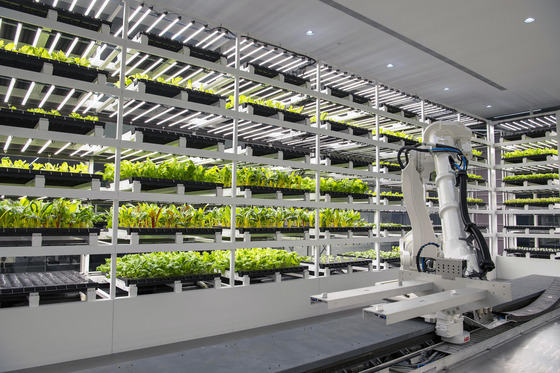 Smart farms inside the Hmgics produce up to nine different crops. [HYUNDAI MOTOR]