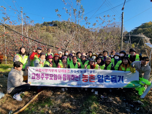 농협중앙회 화성시지부와 화성시 농협 임직원, (사)고향주부모임연합회가 지난 20일 서신면 사과농가에서 농촌일손돕기 봉사활동을 펼쳤다. 농협중앙회 화성시지부 제공