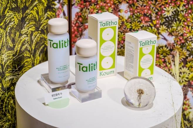 /사진제공= 탈리다쿰