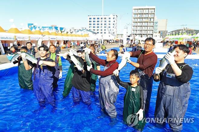 최남단 방어 축제 [연합뉴스 자료 사진]