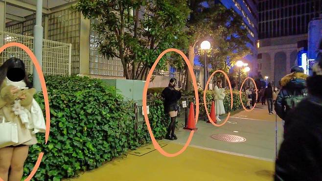 일본 도쿄 오쿠보공원 앞에서 젊은 여성들이 휴대전화를 보면서 나란히 서 있다./유튜브