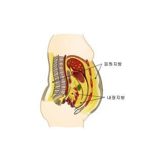 서울아산병원 제공