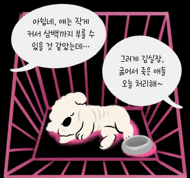 위액트가 게시한 번식장 실태를 고발하는 #사지않을개 웹툰의 한 장면. 위액트 제공