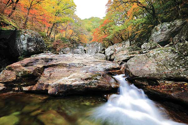 피아골은 지리산의 대표적인 단풍 명소다. 이곳에는 크고 작은 폭포와 소들이 많다.