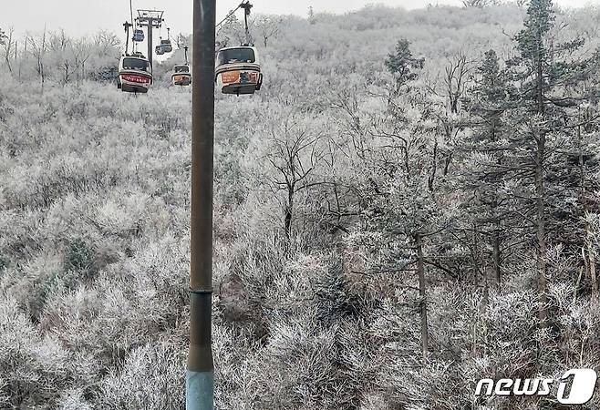 전북 무주군 덕유산국립공원에 상고대가 피어있다. (독자 제공) 2023.11.12/뉴스1 ⓒ News1 장수영 기자