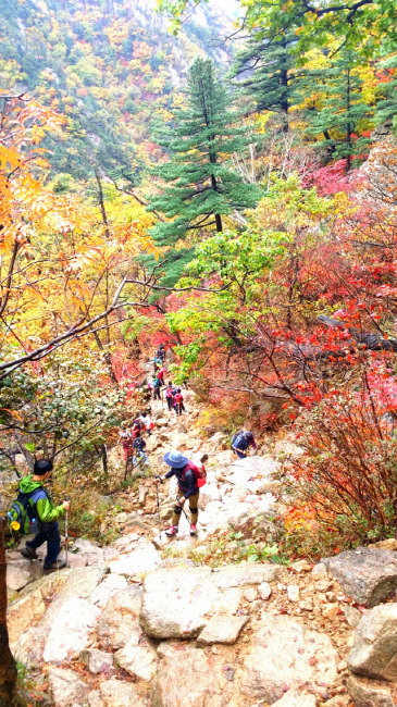 ▲ 설악산 봉정암 구간의 마지막 관문인 깔딱고개. 이 고개를 올라서면 적멸보궁 봉정암과 설악 암릉미의 백미인 용아장성, 공룡능선이 한눈에 들어온다.