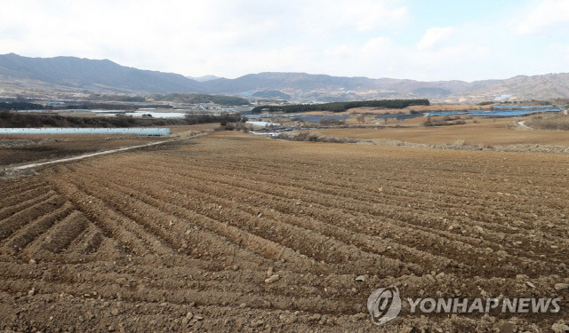 ▲ 양구 해안면 무주지 개간 농지[연합뉴스 자료사진]