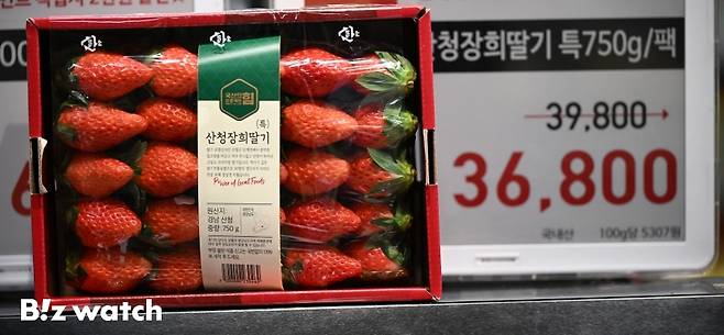 지난 23일 서울의 한 대형마트에서 딸기가 500g 한팩에 1만6900원, 750g 한팩에 3만6800원에 판매되고 있다. /사진=이명근 기자 qwe123@