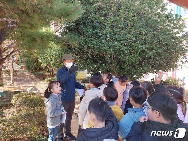 여수중학교(교장 나미경)- 20일 학생들이 학교 정원의 푸조나무, 은목서 등을 살피며 숲 해설사에게 식물에 얽힌 재미있는 이야기를 듣고 있다.(전남교육청 제공)/뉴스1