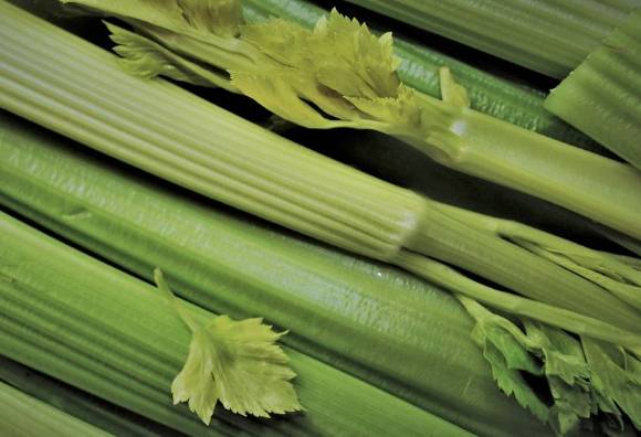 다이어트에 도움이 되는 '마이너스 칼로리' 식품이 주목받고 있다. 사진은 '마이너스 칼로리' 식품이라 불리는 셀러리. [사진=픽사베이]