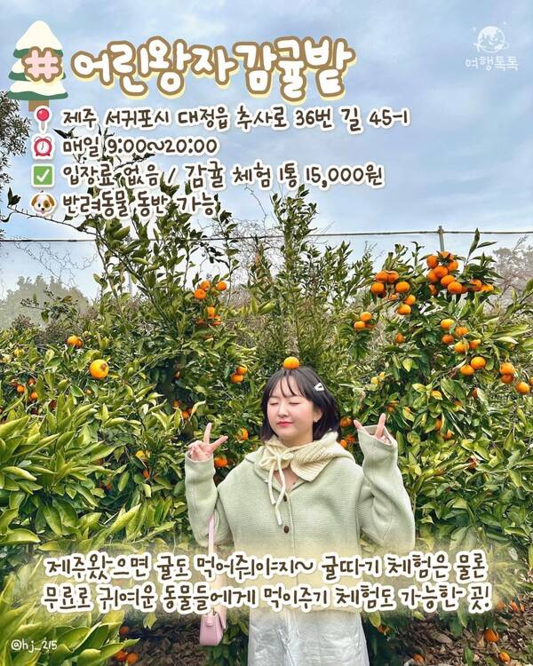 12월 제주 가볼만한 곳 ⓒ여행톡톡