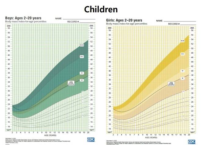 [그래프=정재민 교수 제공]