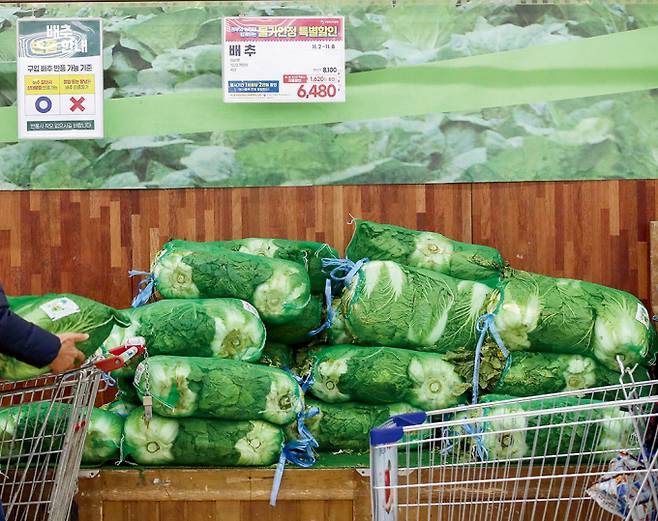 하나로마트는 올해 농식품 전문 버티컬커머스 '농협몰 신선플러스'를 오픈하며 온라인 경쟁력 강화에 나섰다. 사진은 하나로마트 내부 전경. /사진=뉴스1