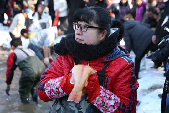 양촌곶감축제 참가자가 송어 잡기 체험을 하고 있다. 사진=논산시 제공