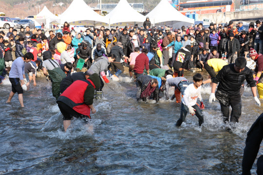 양촌곶감축제 참가자들이 송어 잡기 체험을 하고 있다. 사진=논산시 제공