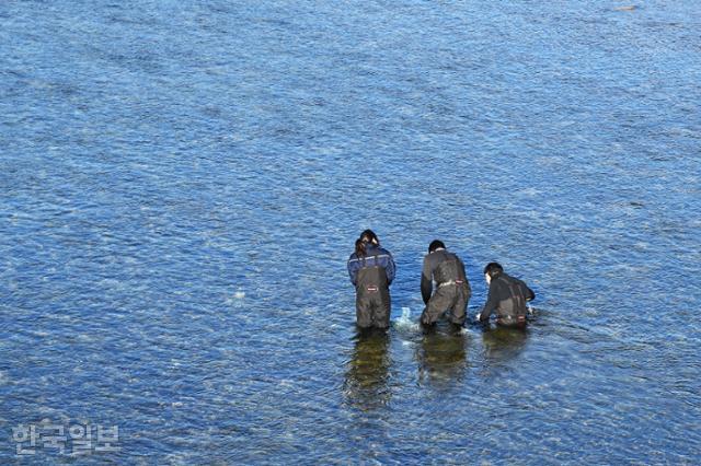 단천교 아래 시린 강물에서 주민들이 물고기를 잡고 있다.